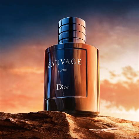 notes in dior sauvage|dior sauvage types.